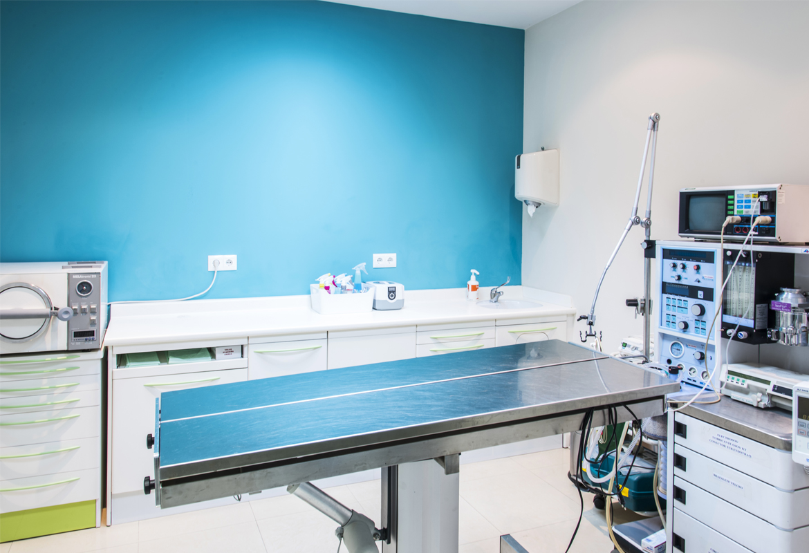 Quirófano veterinario con tecnología de última generación