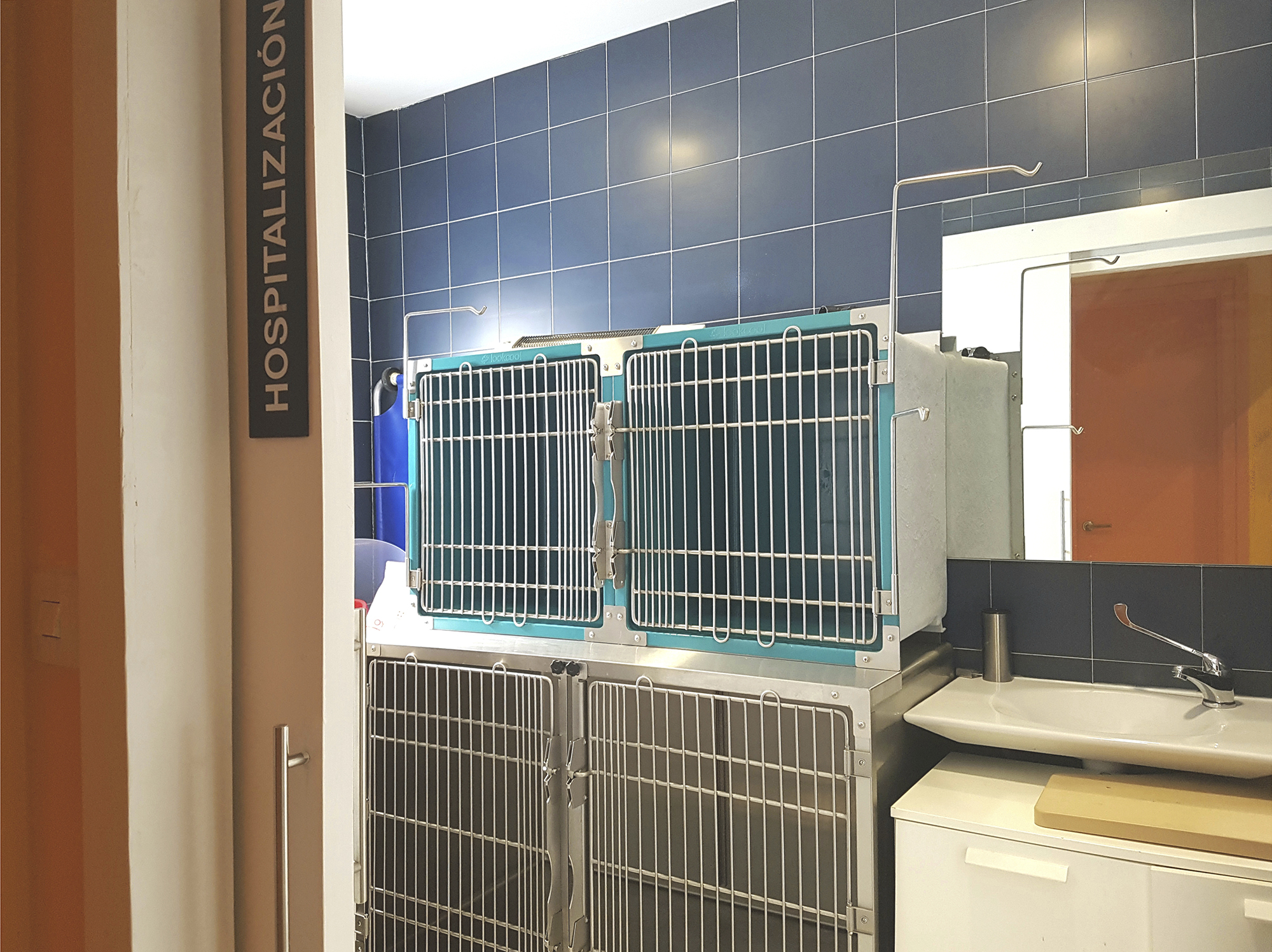Sala de hospitalización veterinaria de día en Alcobendas