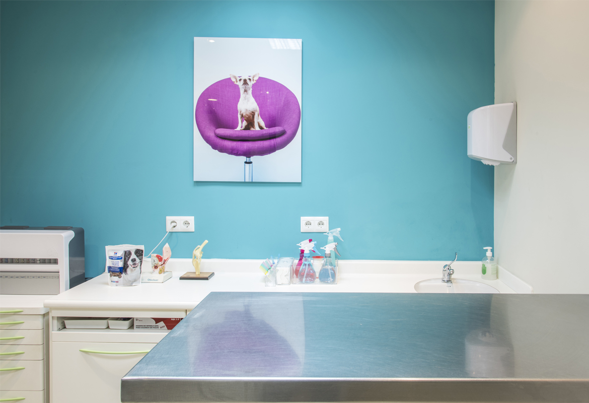 Equipamiento veterinario de diagnóstico avanzado