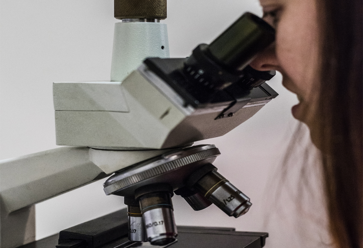 Veterinario realizando pruebas diagnósticas de laboratorio