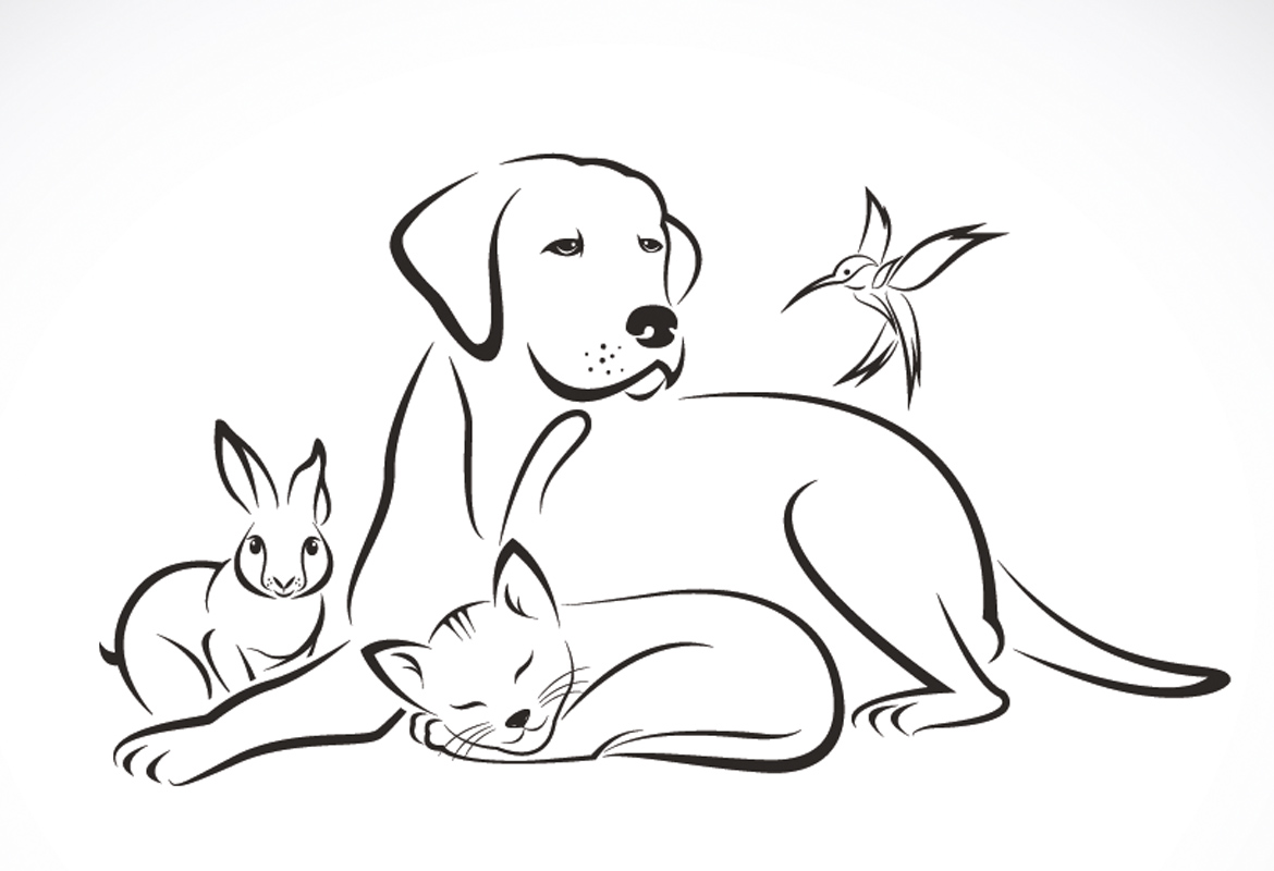 Servicio de eutanasia veterinaria a domicilio en Alcobendas